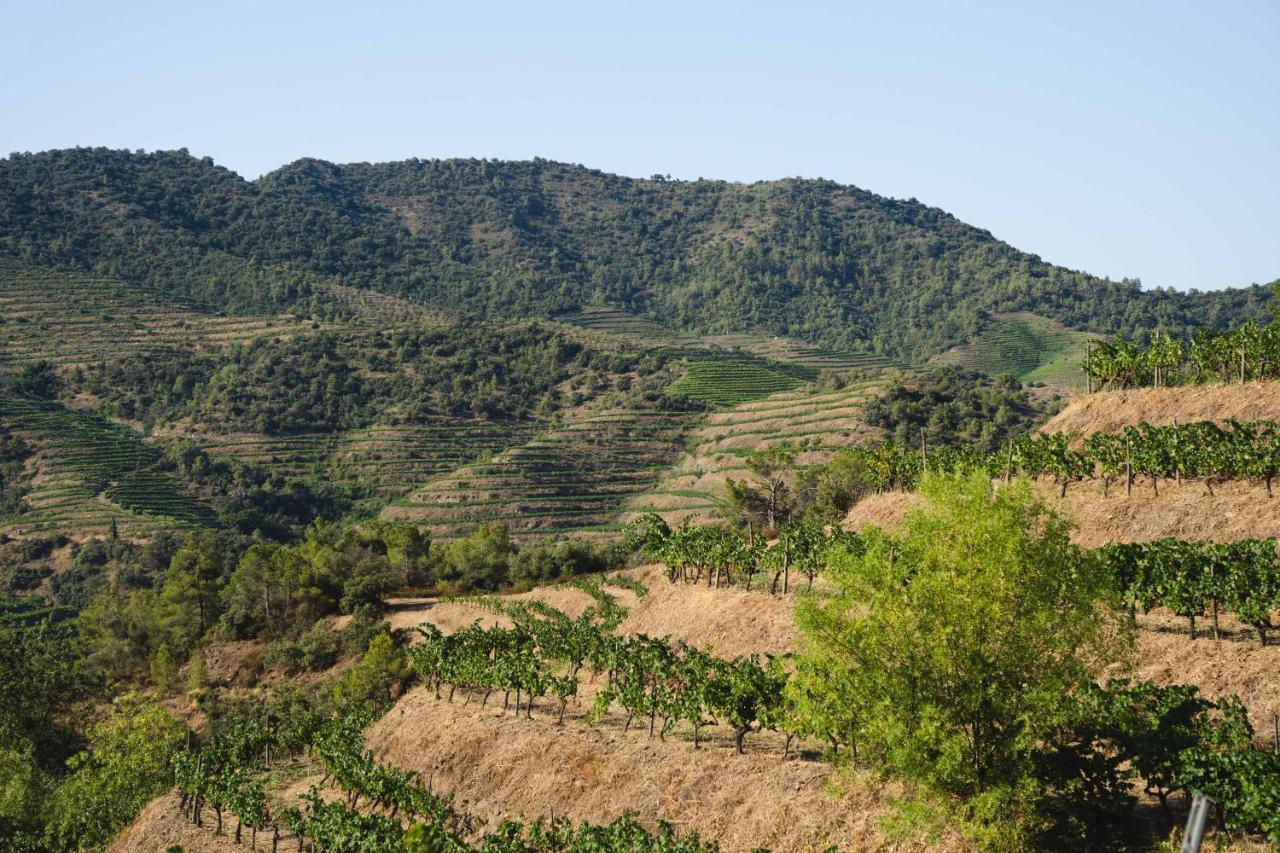Ora Hotel Priorat, A Member Of Design Hotels Torroja Exteriör bild